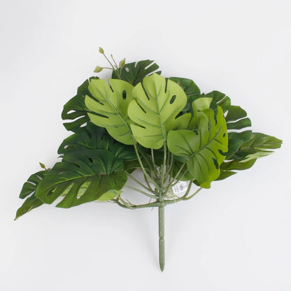 Grön monstera Thai