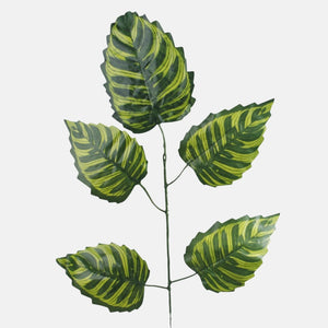 Roheline