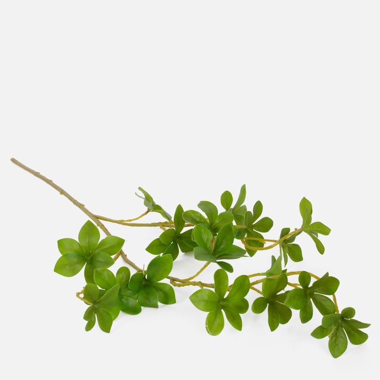 Vihreä pittosporum tekokasvioksa 70 cm - Tekokukat
