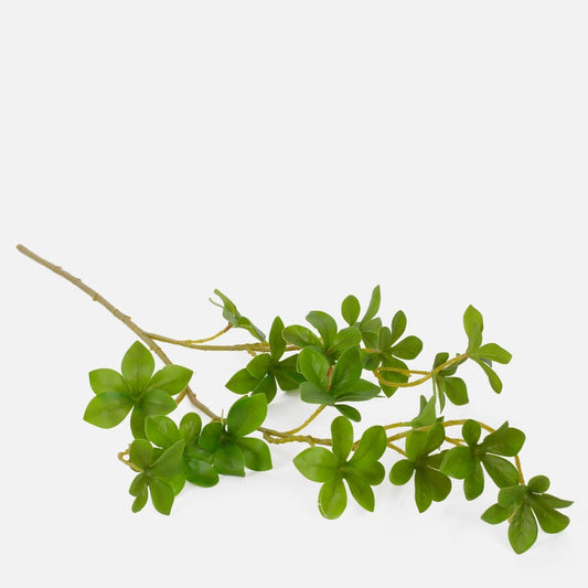 Vihreä pittosporum tekokasvioksa 70 cm - Tekokukat
