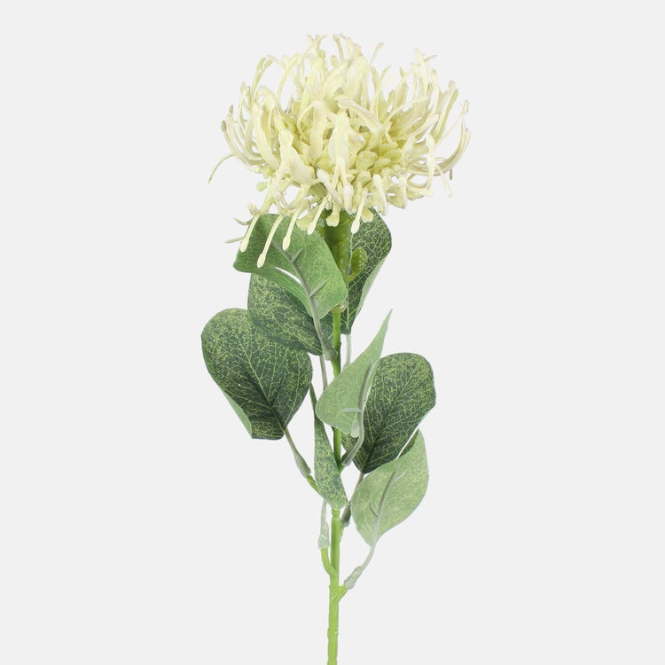 Heleroheline Protea kunstlill 45 cm - Kunstlilled