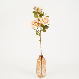 Rosa/Gelb