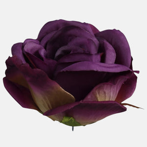 Violetti/Beige