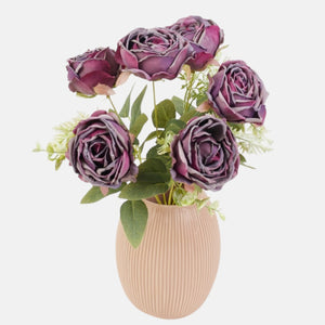 Violetti