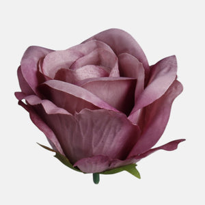 Malva