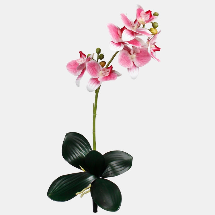 Roosa orhidee kunstlill 47 cm - Kunstlilled