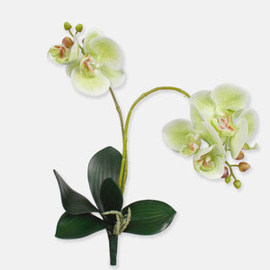 Heleroheline