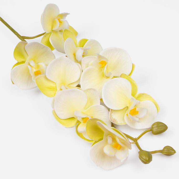 Kreemjas orhidee kunstlill 78 cm - Kunstlilled
