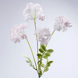 Vaaleanvioletti