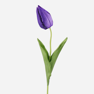 Violetti
