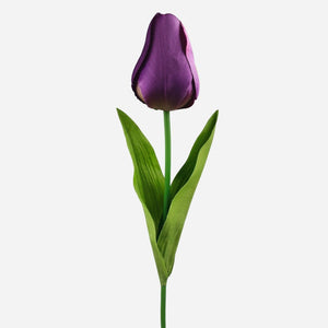 Violetti