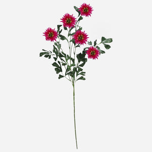 Pinkki